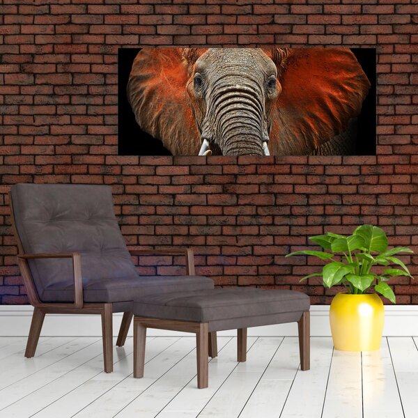 Slika - Slonovi s Tsavom (120x50 cm)