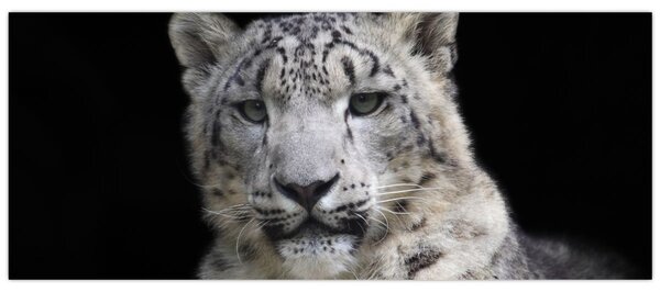 Slika - Snježni leopard (120x50 cm)