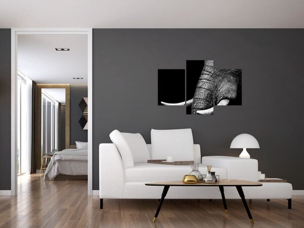 Slika - Slonove kljove (90x60 cm)