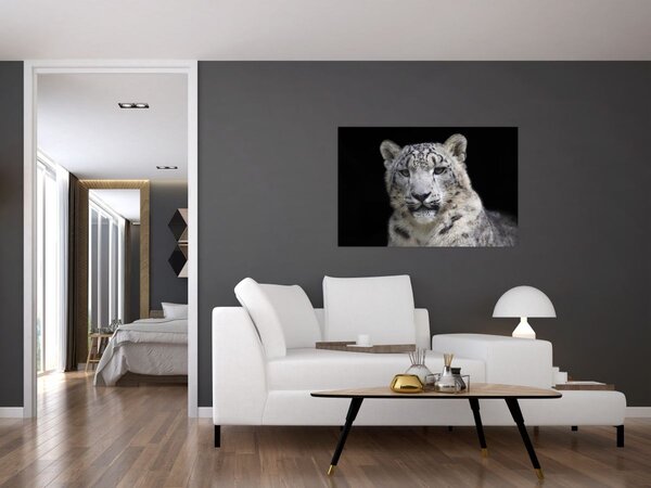 Slika - Snježni leopard (90x60 cm)