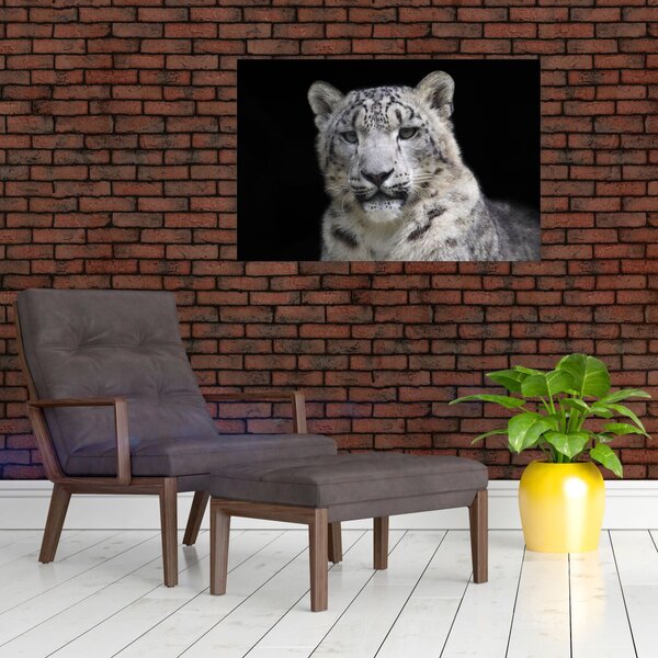 Slika - Snježni leopard (90x60 cm)