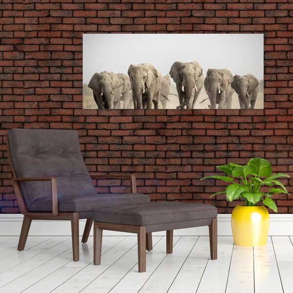 Slika - Krdo slonova (120x50 cm)