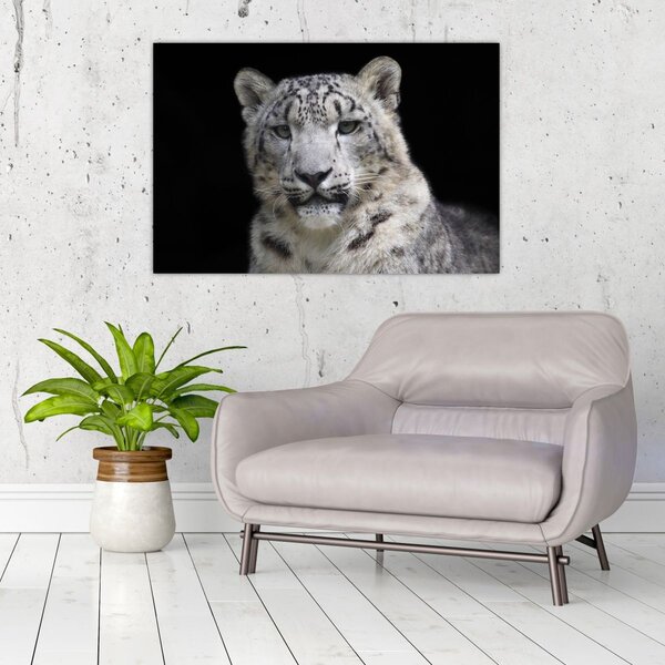 Slika - Snježni leopard (90x60 cm)