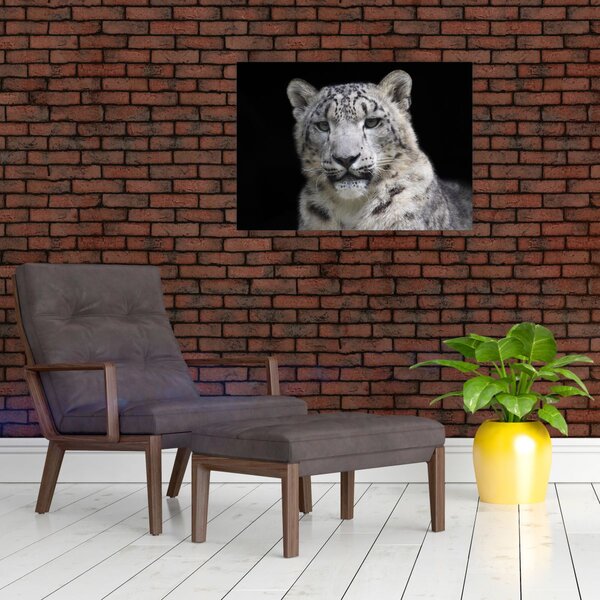 Slika - Snježni leopard (70x50 cm)