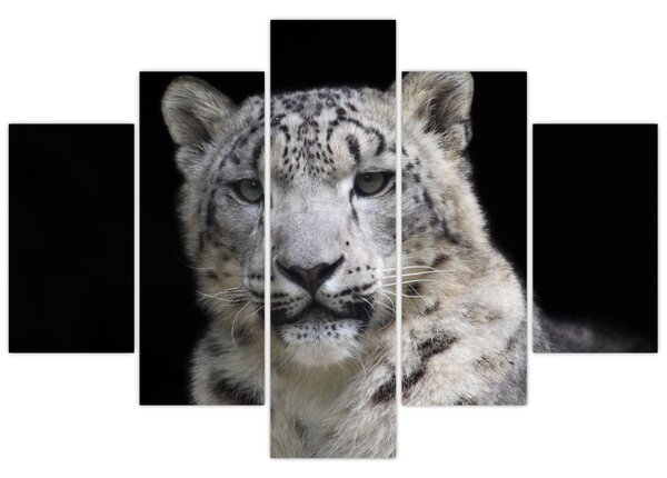 Slika - Snježni leopard (150x105 cm)