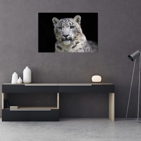 Slika - Snježni leopard (90x60 cm)