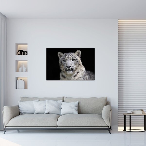 Slika - Snježni leopard (90x60 cm)