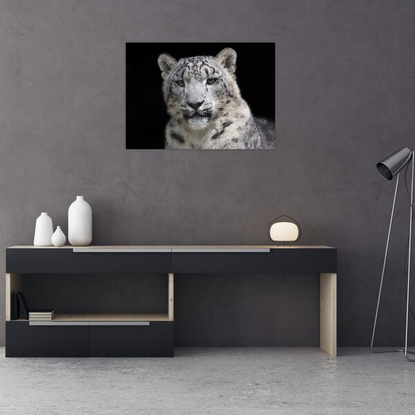 Slika - Snježni leopard (70x50 cm)