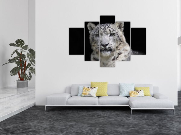 Slika - Snježni leopard (150x105 cm)