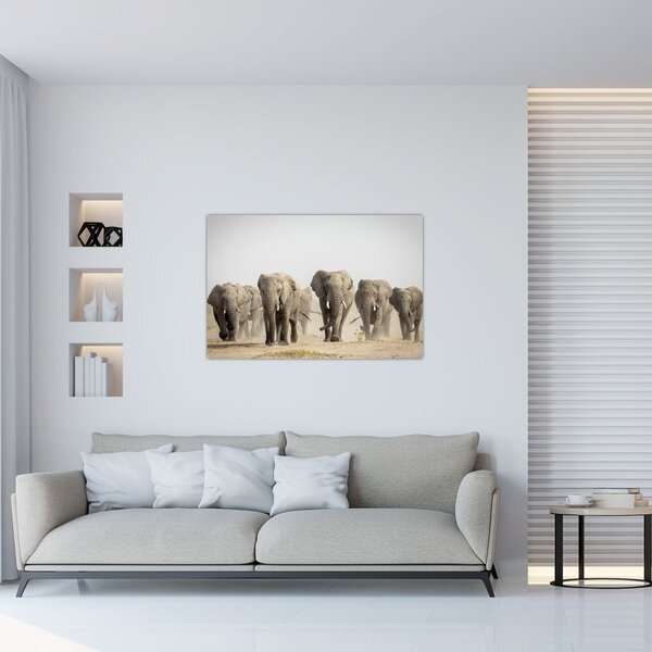 Slika - Krdo slonova (90x60 cm)