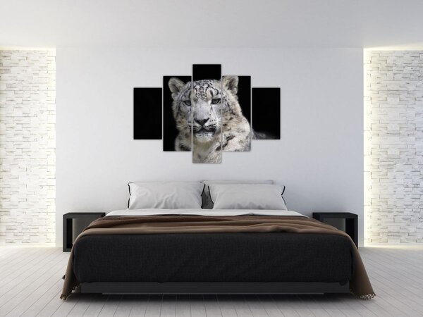 Slika - Snježni leopard (150x105 cm)