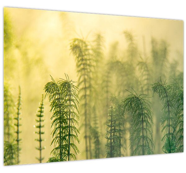 Slika - Detalj proljetne maglovite prirode (70x50 cm)