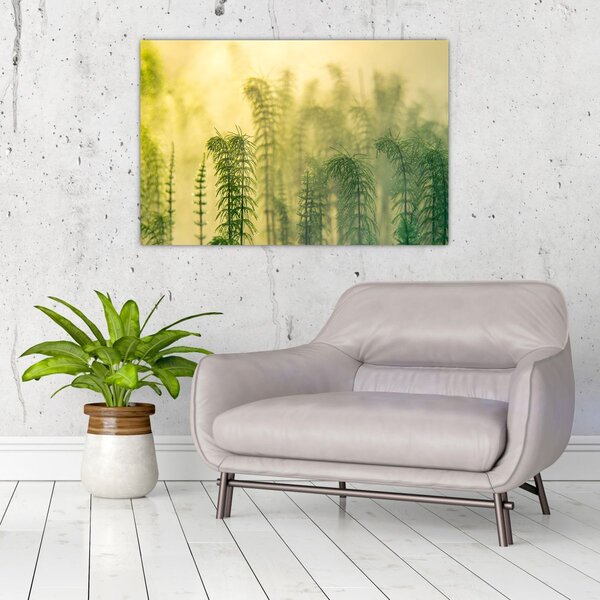Slika - Detalj proljetne maglovite prirode (90x60 cm)
