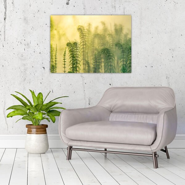 Slika - Detalj proljetne maglovite prirode (70x50 cm)