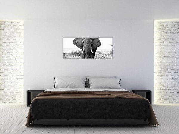 Slika - Afrički slon II. (120x50 cm)