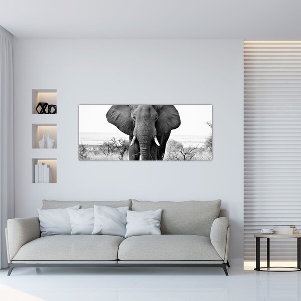 Slika - Afrički slon II. (120x50 cm)