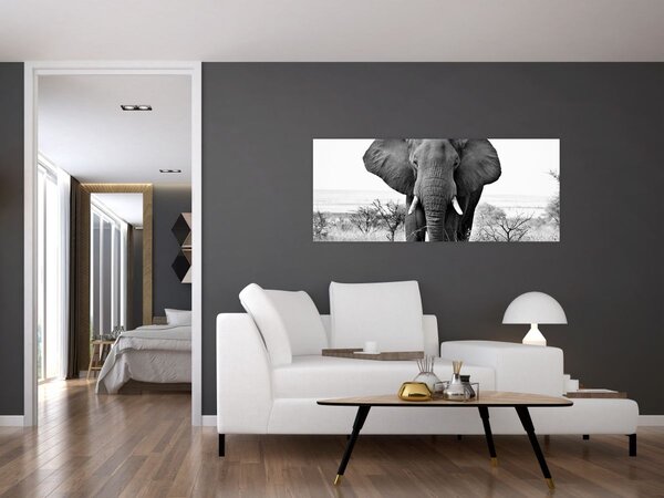 Slika - Afrički slon II. (120x50 cm)