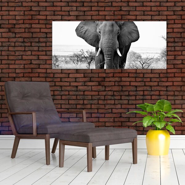 Slika - Afrički slon II. (120x50 cm)