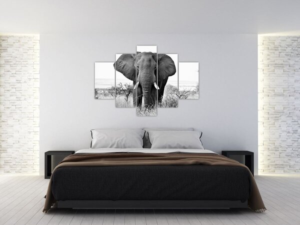 Slika - Afrički slon II. (150x105 cm)