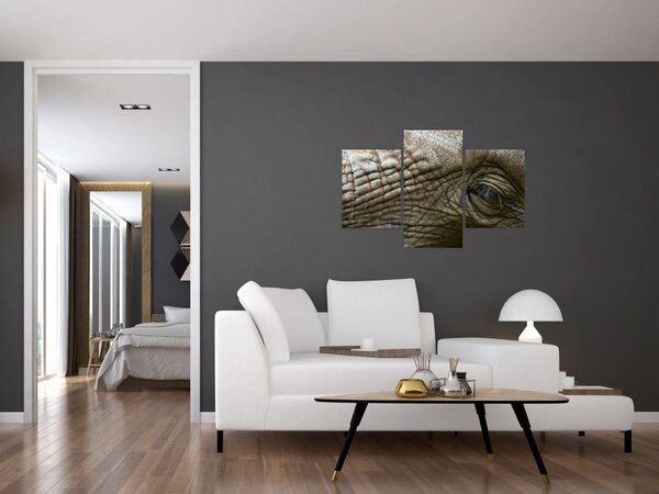 Slika - Krupni plan oka starog slona (90x60 cm)