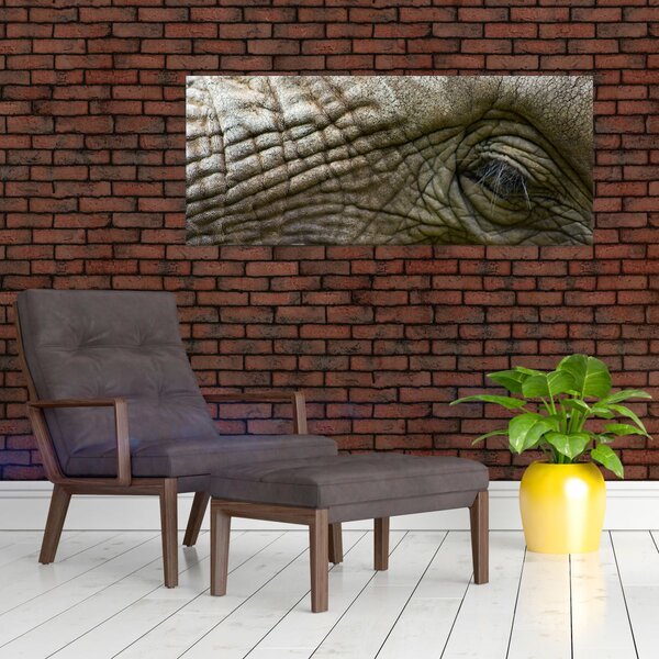 Slika - Krupni plan oka starog slona (120x50 cm)