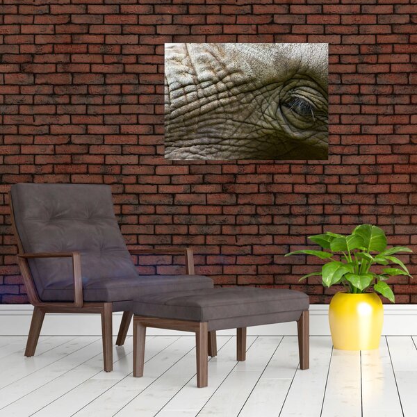 Slika - Krupni plan oka starog slona (70x50 cm)