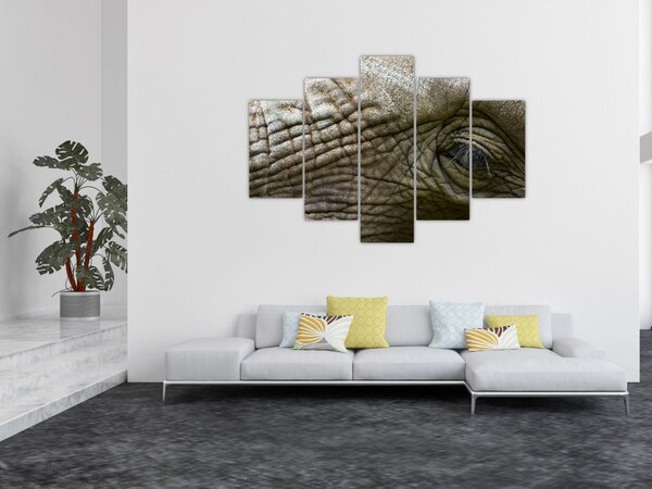 Slika - Krupni plan oka starog slona (150x105 cm)