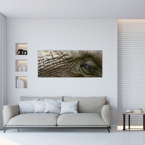 Slika - Krupni plan oka starog slona (120x50 cm)