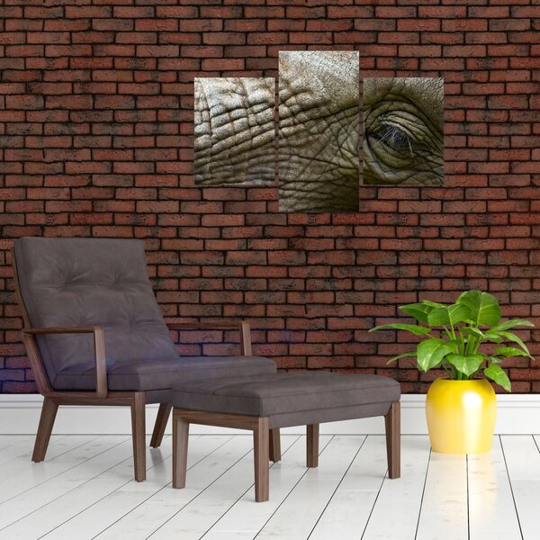 Slika - Krupni plan oka starog slona (90x60 cm)