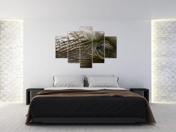 Slika - Krupni plan oka starog slona (150x105 cm)