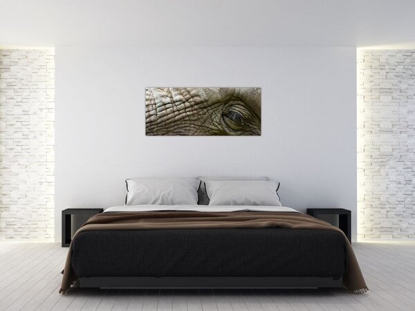 Slika - Krupni plan oka starog slona (120x50 cm)