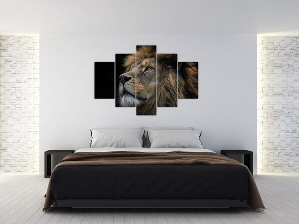 Slika - Veličanstveni lav (150x105 cm)