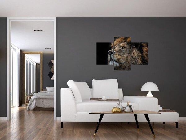 Slika - Veličanstveni lav (90x60 cm)
