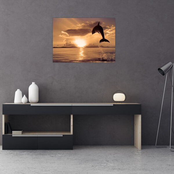 Slika - Delfin na zalasku sunca (70x50 cm)