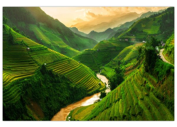 Slika - Mu Cang Chai rižine terase (90x60 cm)
