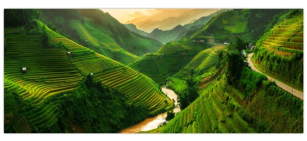 Slika - Mu Cang Chai rižine terase (120x50 cm)