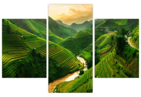 Slika - Mu Cang Chai rižine terase (90x60 cm)