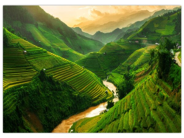 Slika - Mu Cang Chai rižine terase (70x50 cm)
