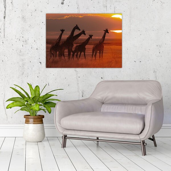 Slika - Žirafe u afričkoj savani (70x50 cm)