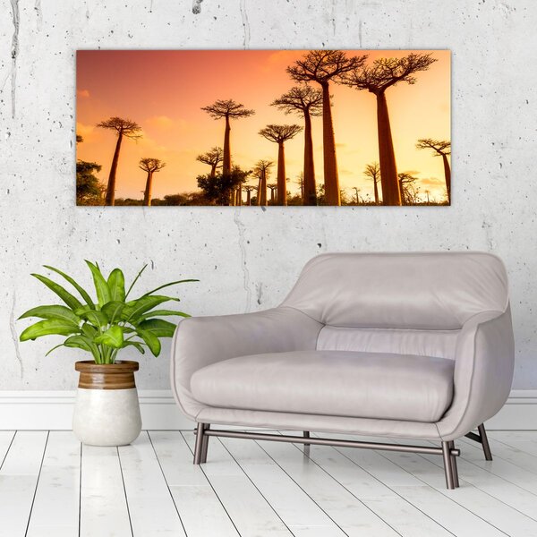 Slika - Zalazak sunca u Aleji baobaba (120x50 cm)