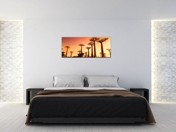 Slika - Zalazak sunca u Aleji baobaba (120x50 cm)