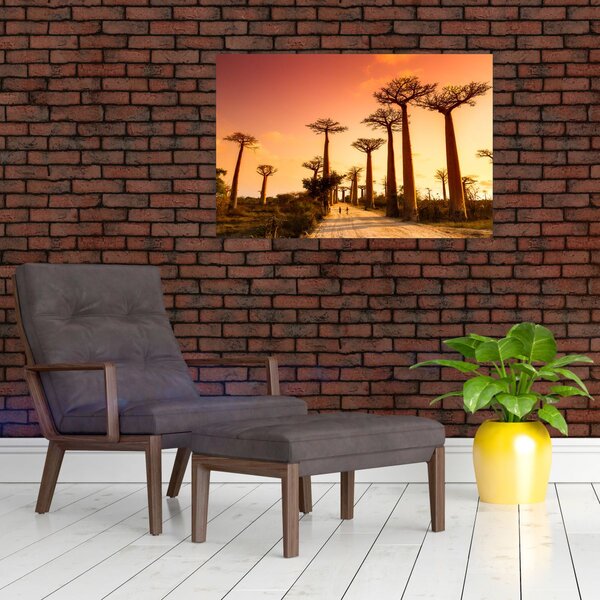 Slika - Zalazak sunca u Aleji baobaba (90x60 cm)