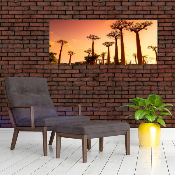 Slika - Zalazak sunca u Aleji baobaba (120x50 cm)