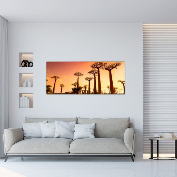 Slika - Zalazak sunca u Aleji baobaba (120x50 cm)