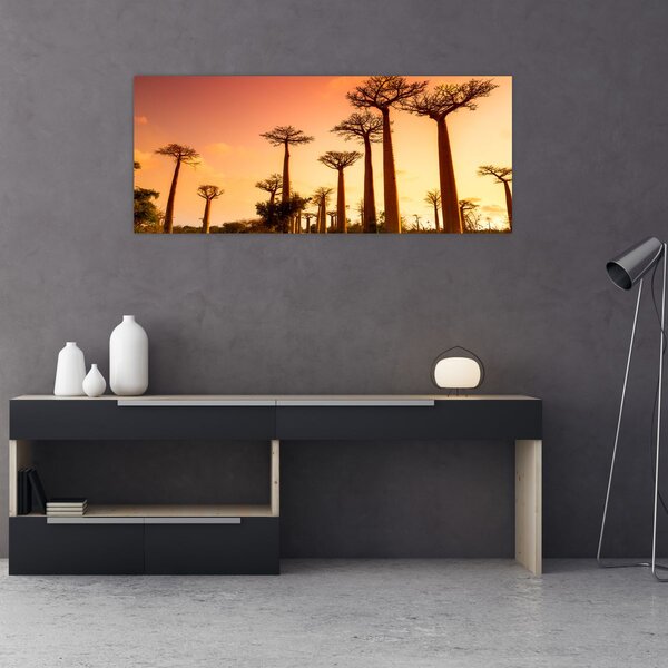 Slika - Zalazak sunca u Aleji baobaba (120x50 cm)