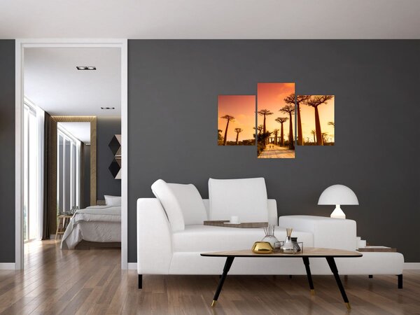 Slika - Zalazak sunca u Aleji baobaba (90x60 cm)