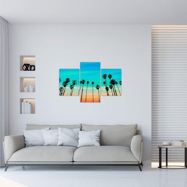Slika - Kalifornija (90x60 cm)