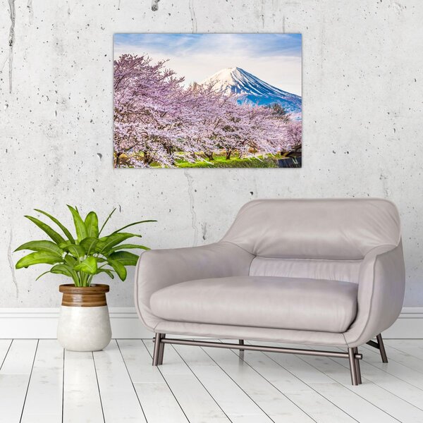 Slika - Japan u proljeće (70x50 cm)