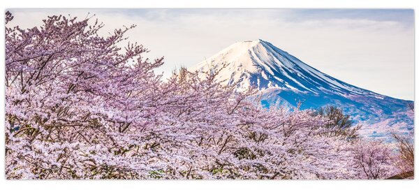 Slika - Japan u proljeće (120x50 cm)