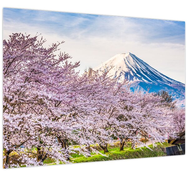 Slika - Japan u proljeće (70x50 cm)